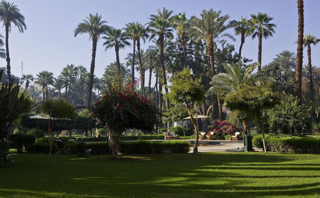 فندق بافيلون وينتر الاقصر الأقصر المظهر الخارجي الصورة The grounds of the Desert Garden